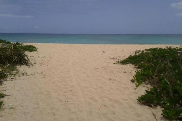 Beach Nest Apt. 2 Bridgetown Buitenkant foto